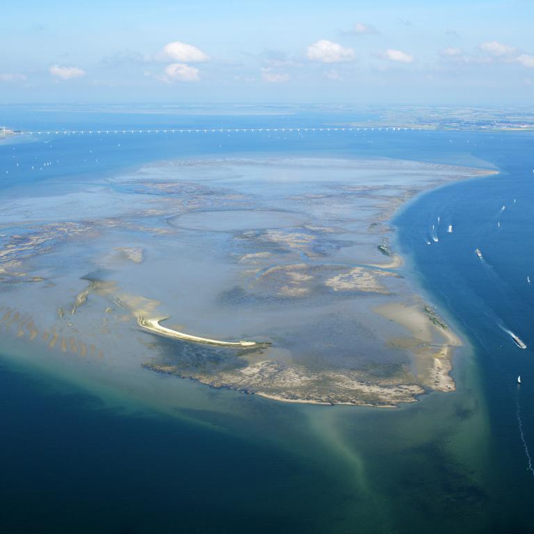 DCC en Deltares gaan samenwerken