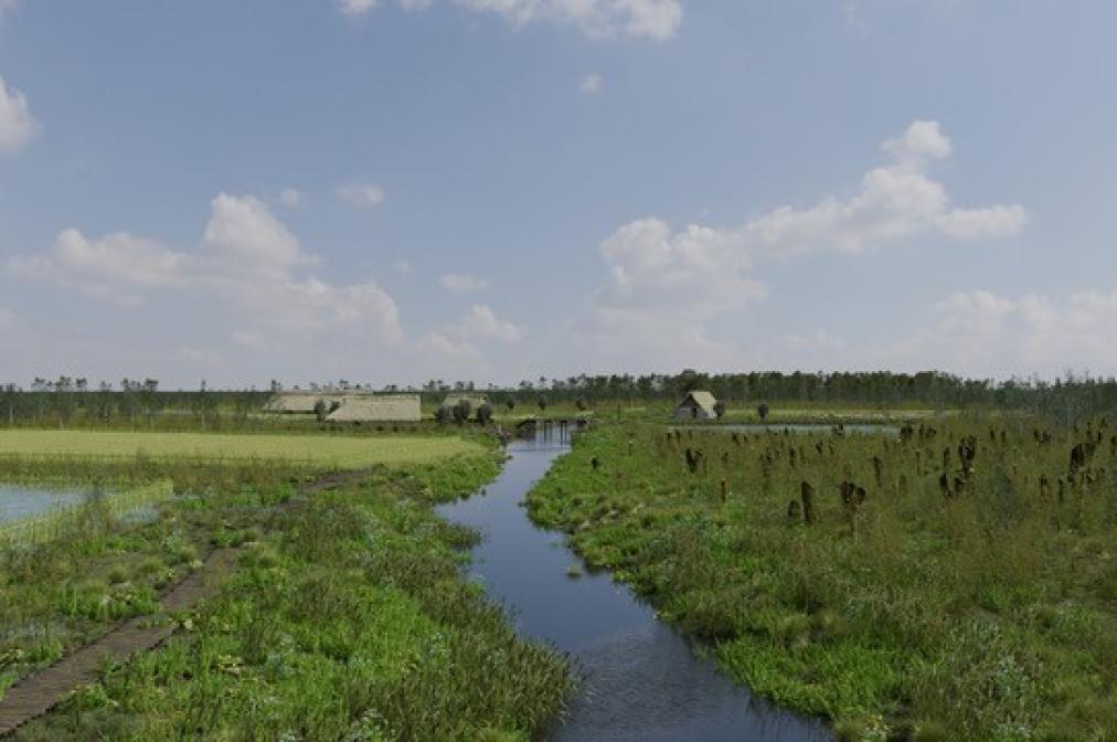 DCC onderzoekt natuurhistorische ontwikkeling van Zeeuwse landschappen