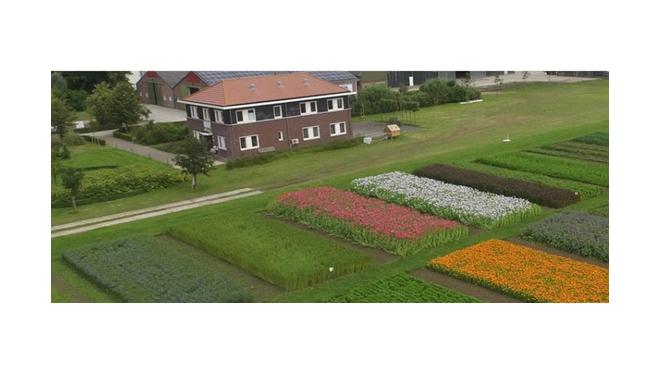 Biobased Versnellingsdag
