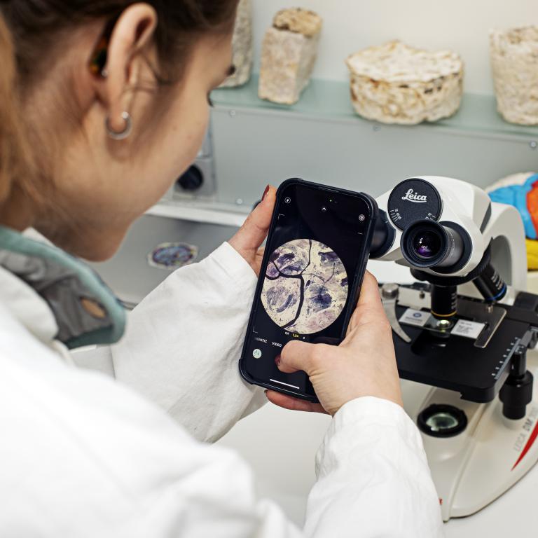 University College Roosevelt benoemd tot Topopleiding in Keuzegids Universiteiten 2026